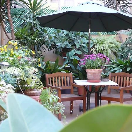 The Patio Barcelona