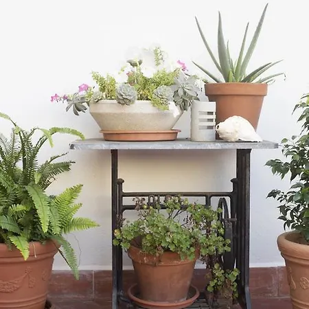 The Patio アパート バルセロナ