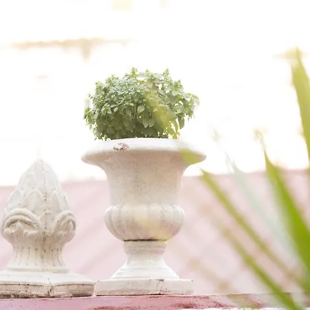 アパート The Patio *