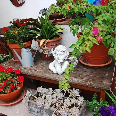 Apartament The Patio