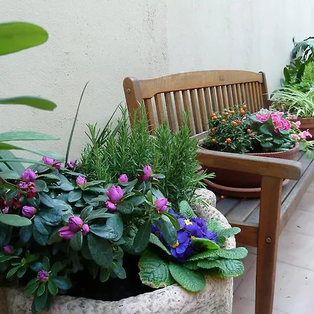 Apartament The Patio